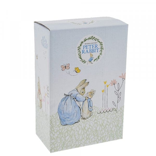 Beatrix Potter Peter Rabbit Running Money Bank
