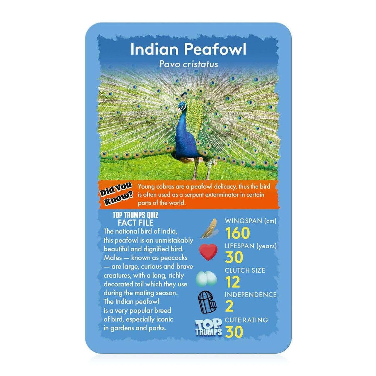 Birds Top Trumps Card Game Birds Top Trumps Card Game