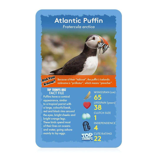Birds Top Trumps Card Game Birds Top Trumps Card Game