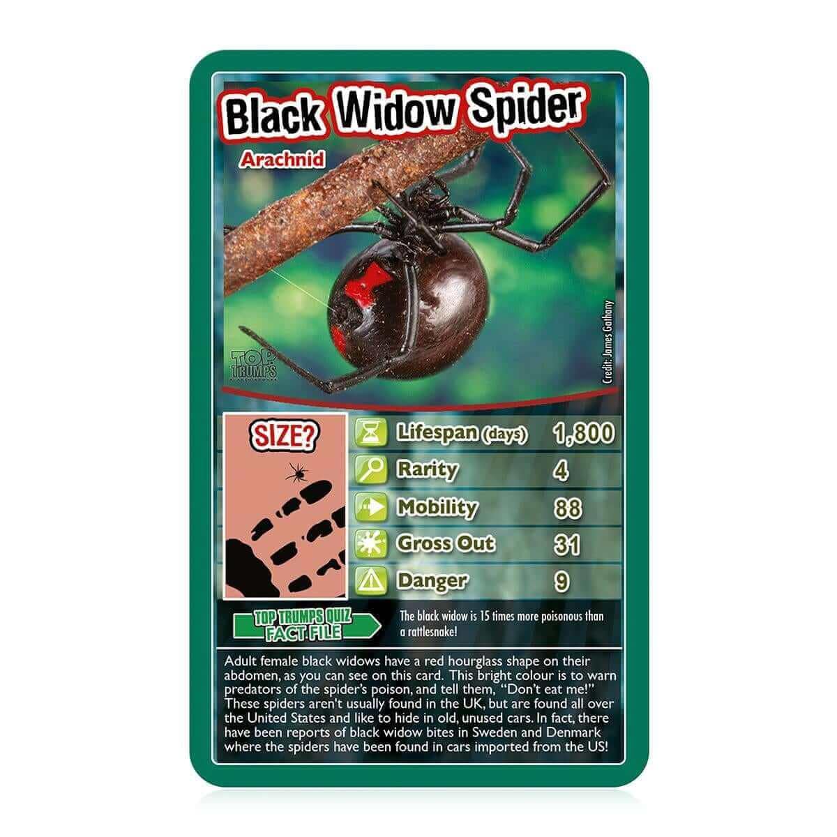 Bugs Top Trumps Card Game Bugs Top Trumps Card Game