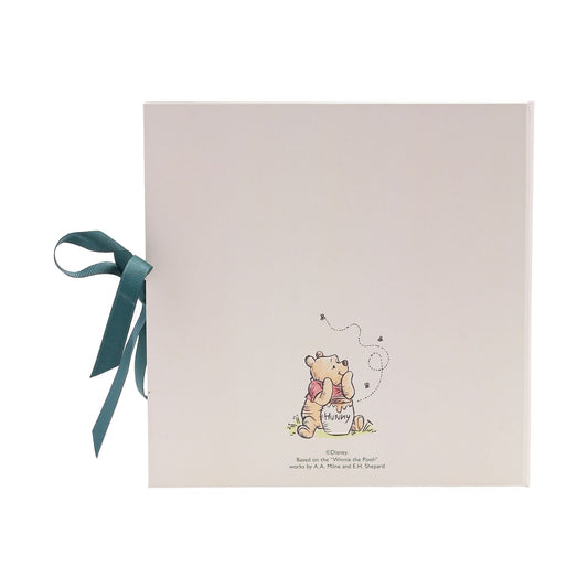 Disney Winnie The Pooh First Year Record Book Disney Winnie The Pooh First Year Record Book