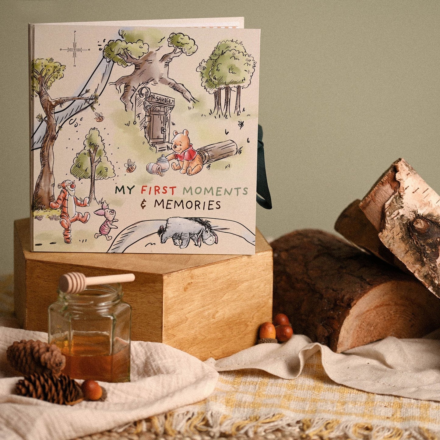 Disney Winnie The Pooh First Year Record Book Disney Winnie The Pooh First Year Record Book