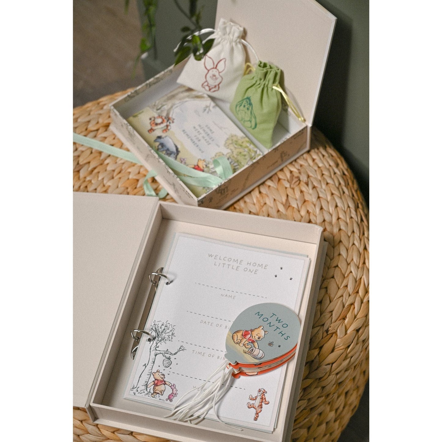 Disney Winnie The Pooh Milestone Album with Cards Disney Winnie The Pooh Milestone Album with Cards