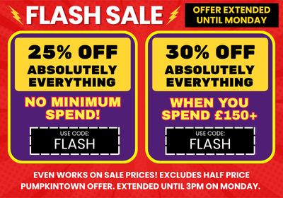 A promotional sale graphic with two large yellow discount panels on a red background. The left panel says '25% OFF ABSOLUTELY EVERYTHING' and the right panel says '30% OFF ABSOLUTELY EVERYTHING'.