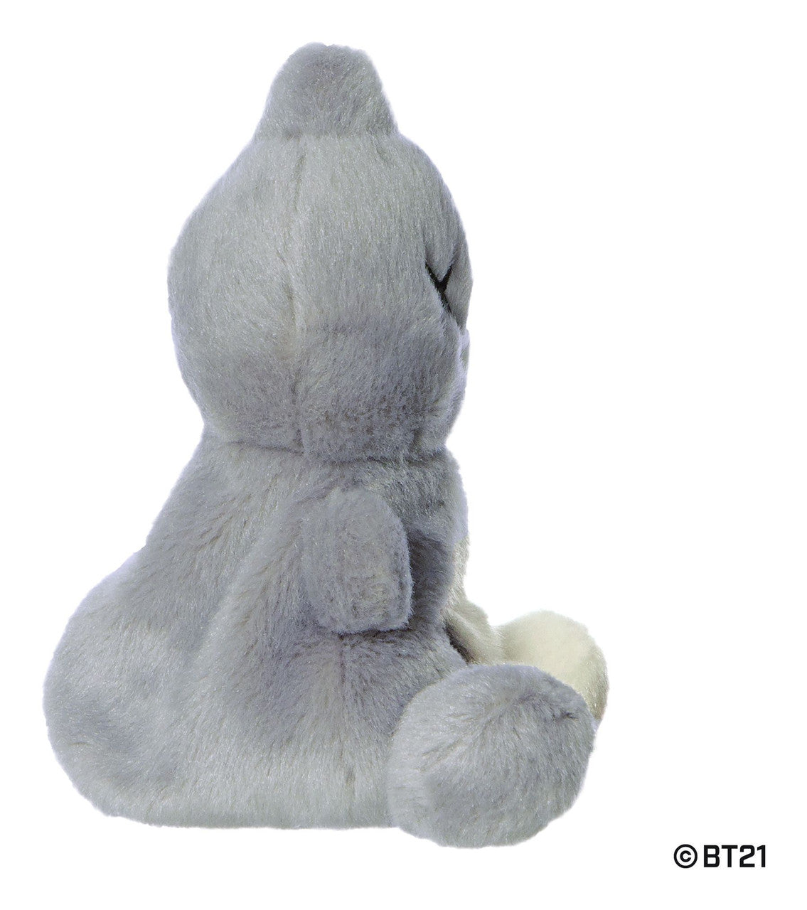 Palm Pals  5” BT21 Van Plush By Aurora World