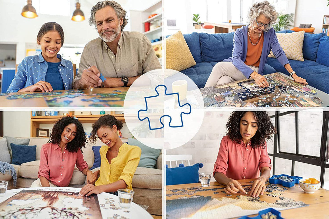 frozen puzzle by ravensburger