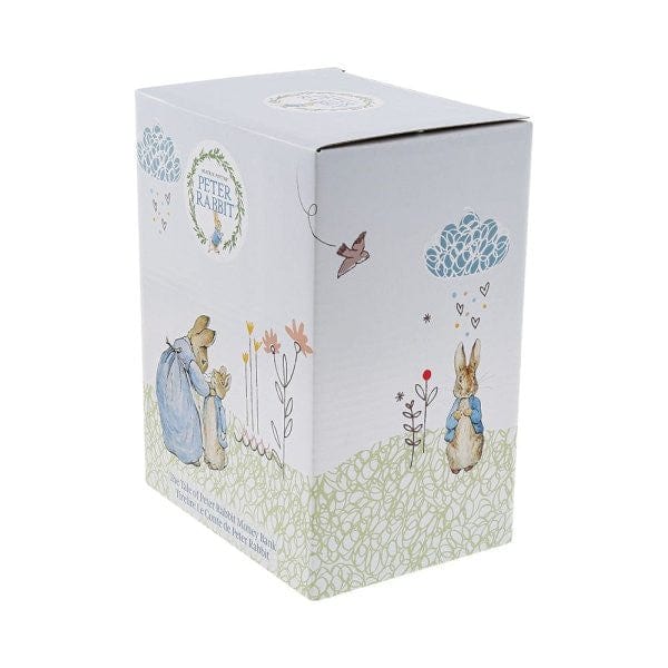 Beatrix Potter The Tale of Peter Rabbit Money Bank