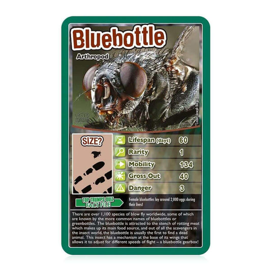 Bugs Top Trumps Card Game