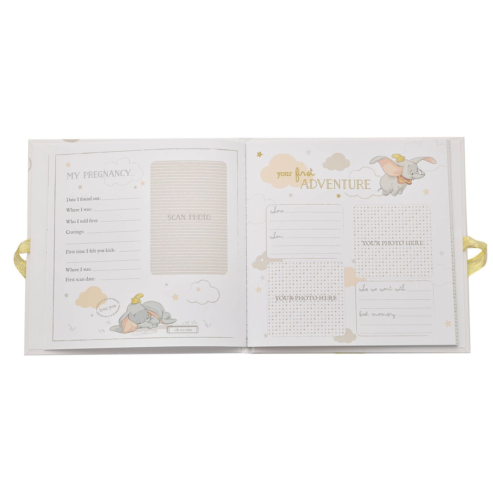 Disney Baby Magical Beginnings My First Year Record Book Dumbo