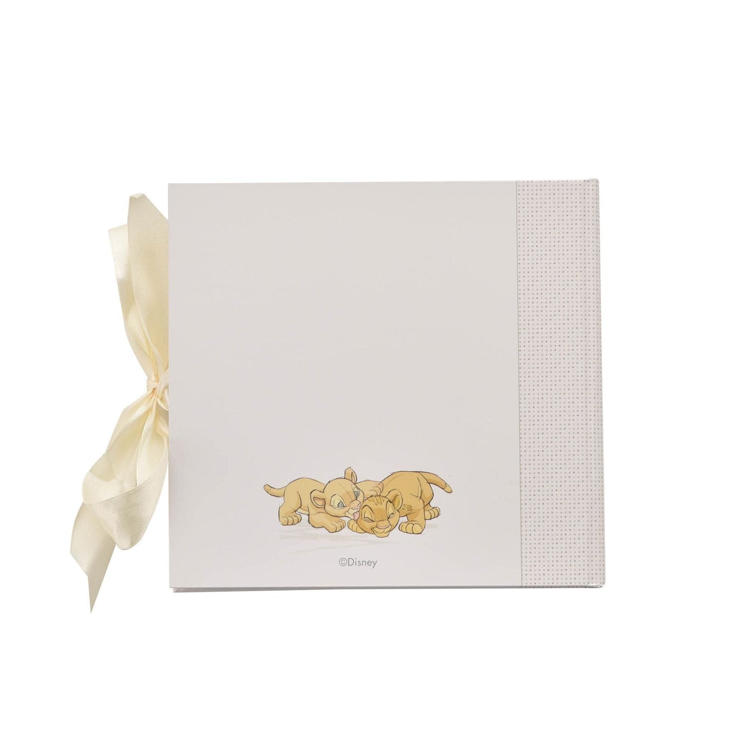 Disney Baby Magical Beginnings Photo Album 4" x 6" - Pooh