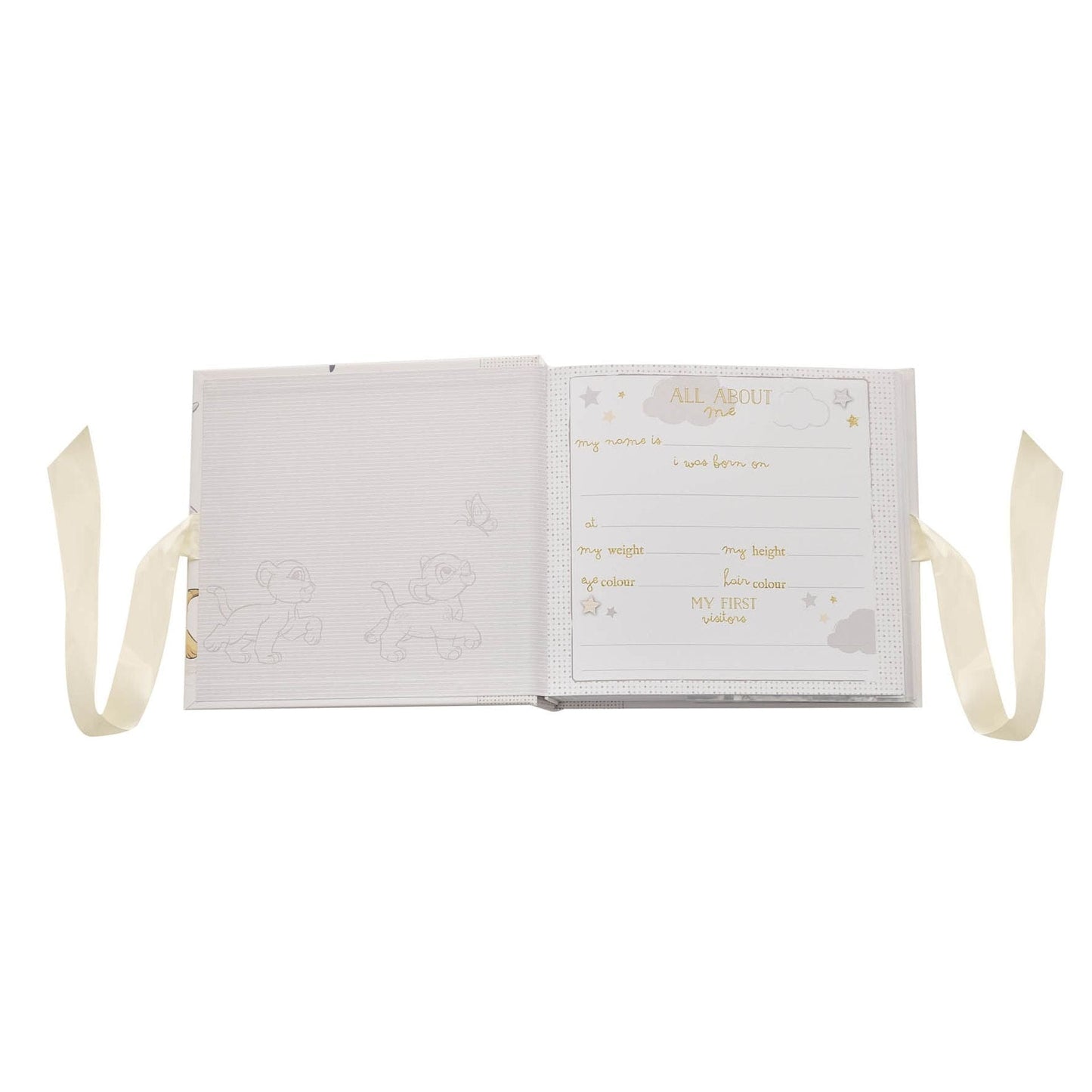 Disney Baby Magical Beginnings Photo Album 4" x 6" - Pooh