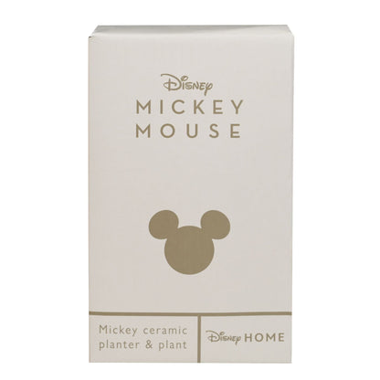 Disney Home Mickey Planter With Faux Plant