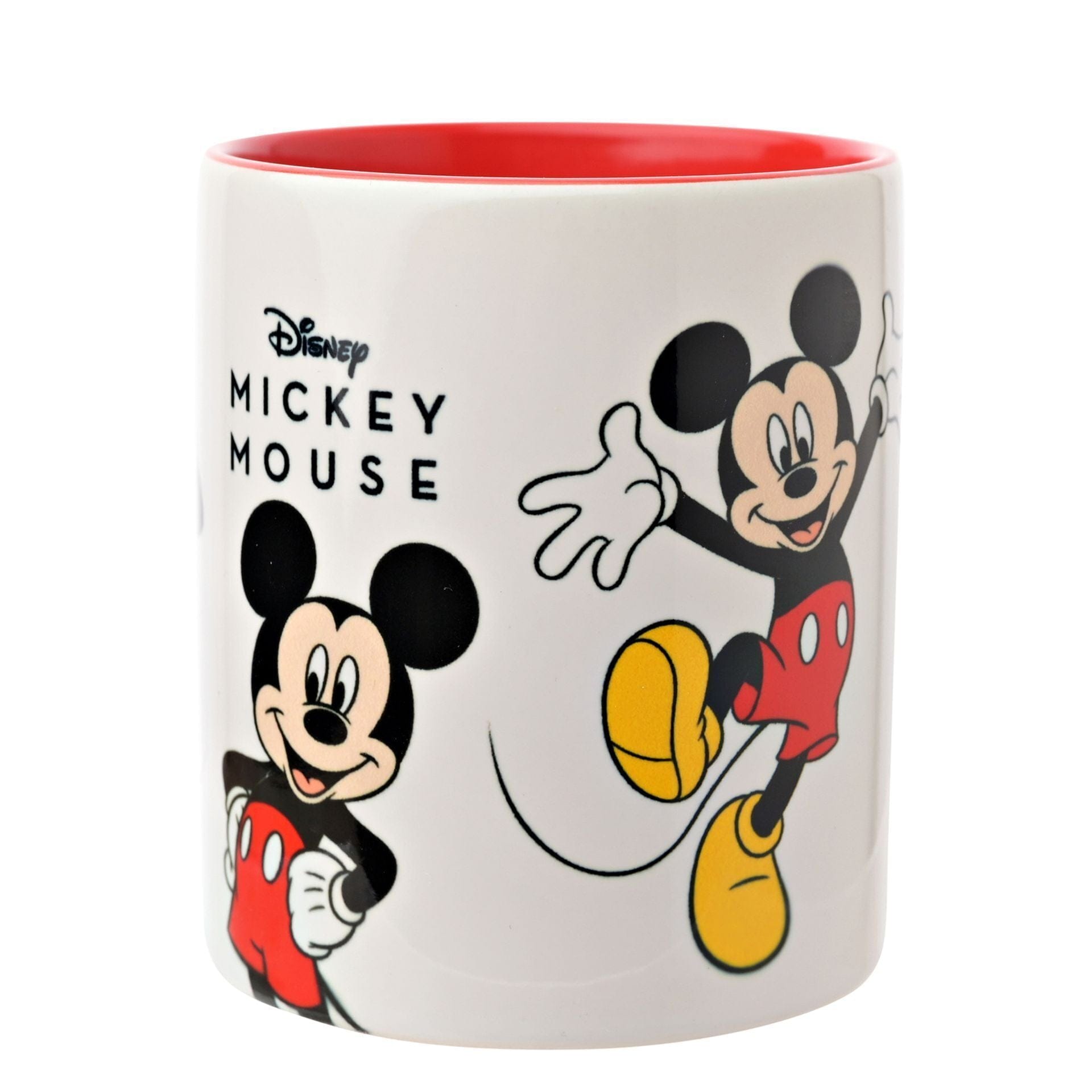 Disney Icons and Villains Mug - Mickey