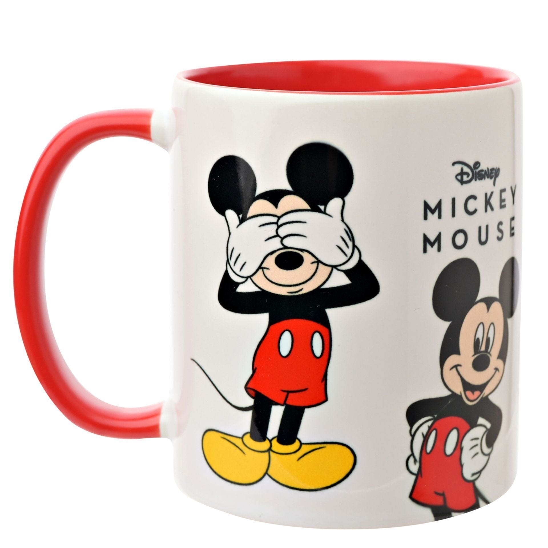 Disney Icons and Villains Mug - Mickey