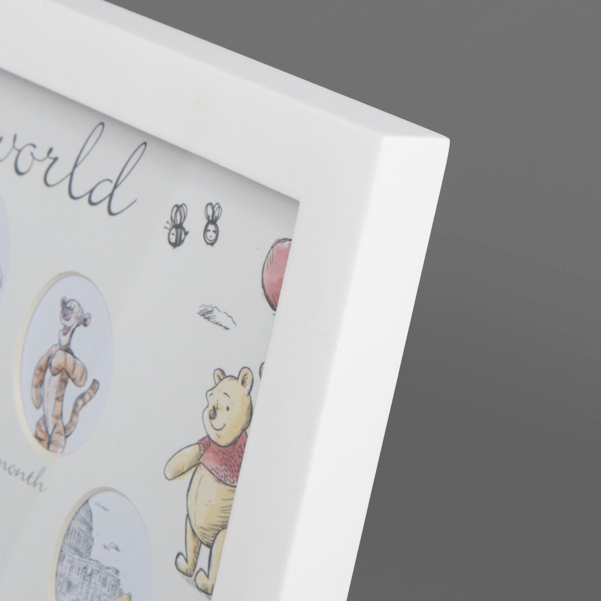 Disney Winnie The Pooh Christopher Robin First Year Multi Aperture Frame