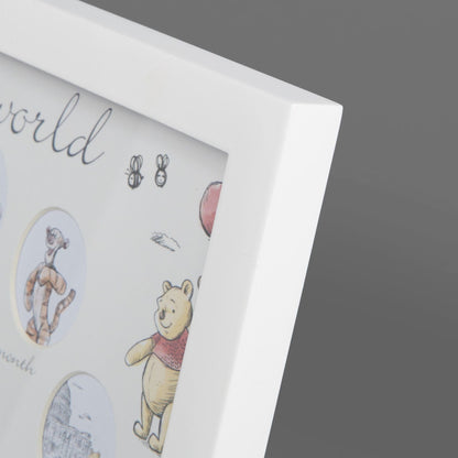 Disney Winnie The Pooh Christopher Robin First Year Multi Aperture Frame