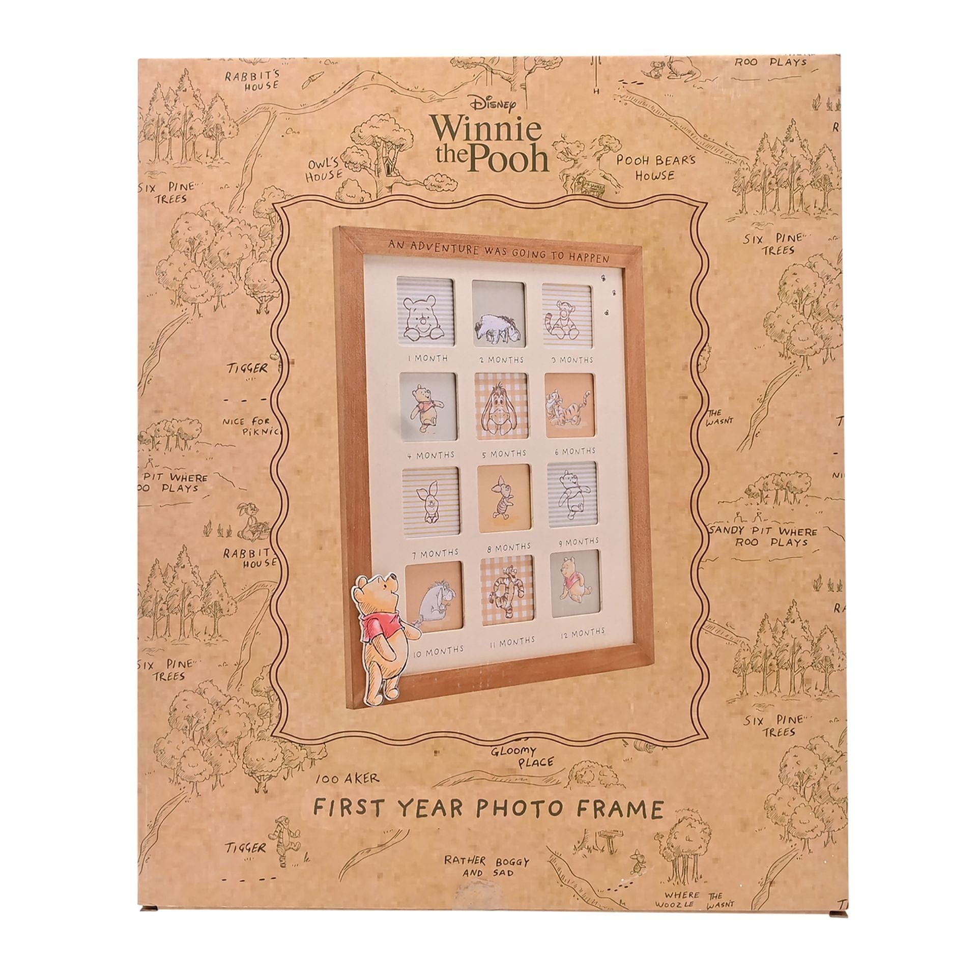 Disney Winnie The Pooh First Year Photo Frame