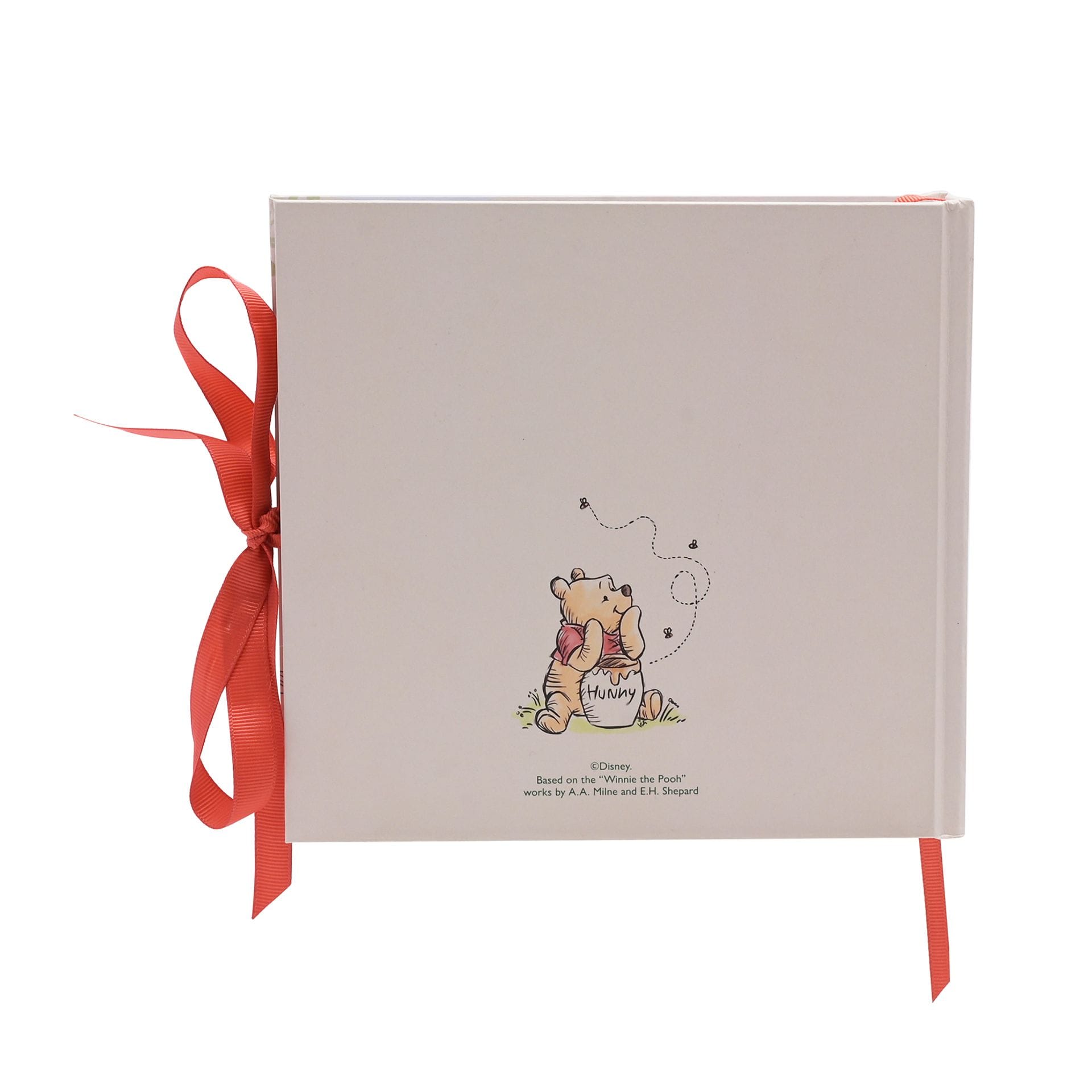 Disney Winnie The Pooh Photo Album