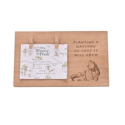 Disney Winnie The Pooh Scan Frame