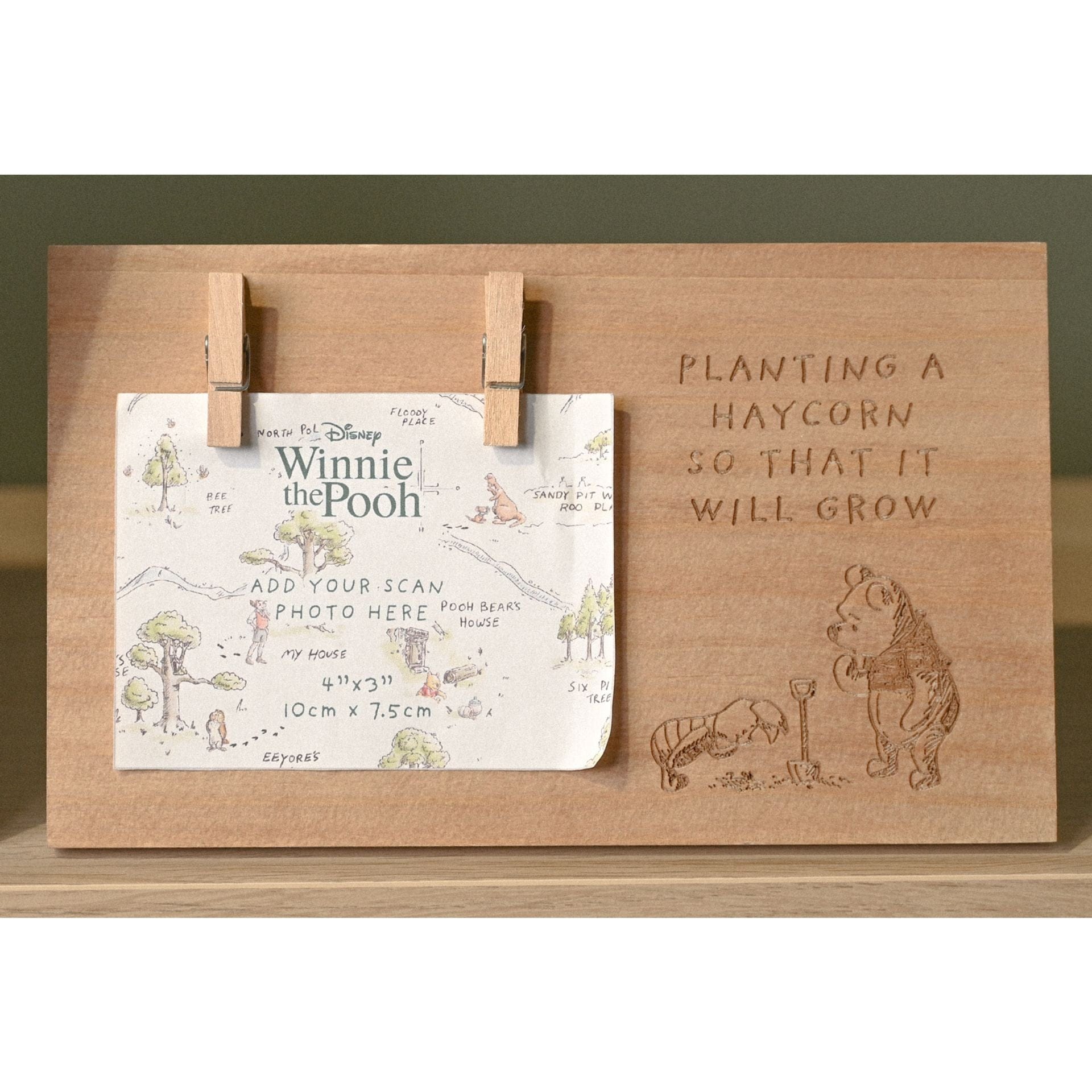 Disney Winnie The Pooh Scan Frame