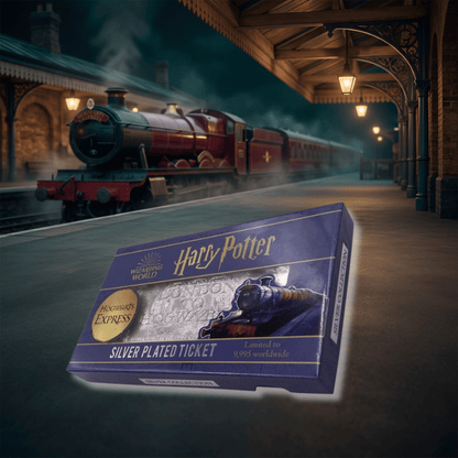 Harry Potter Hogwarts Express Limited Edition Silver Replica Ticket by Fanattik