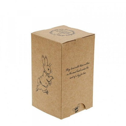 Peter Rabbit and Family at Christmas Wooden Hanging Ornament A30464