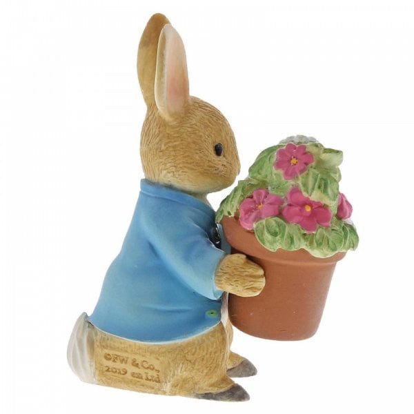 Peter Rabbit Brings Flowers