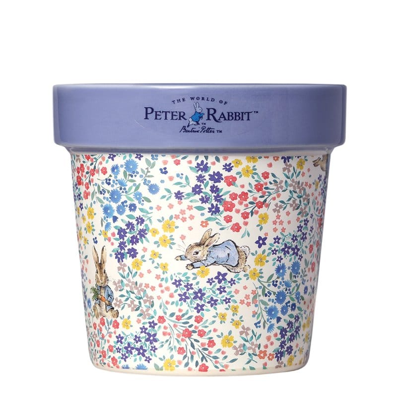 Peter Rabbit Forget Me Not Candle By Peter Rabbit Home Fragrance