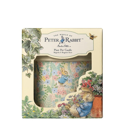 Peter Rabbit Magnolia and Bergamot Candle By Peter Rabbit Fragrance