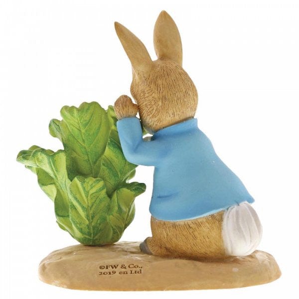 Peter Rabbit with Lettuce