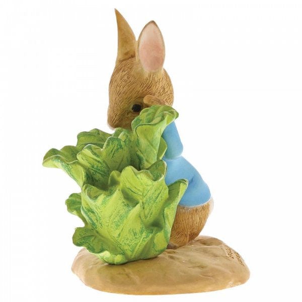 Peter Rabbit with Lettuce