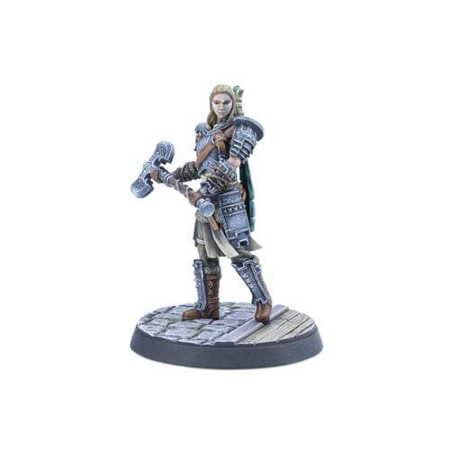The Elder Scrolls Call To Arms Adventurer Followers