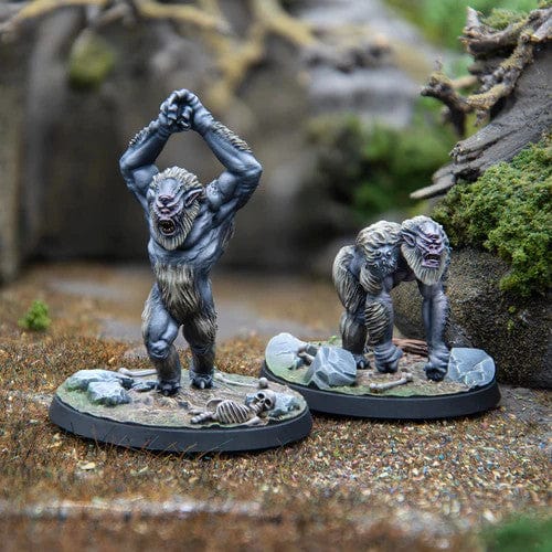 The Elder Scrolls Call To Arms Trolls