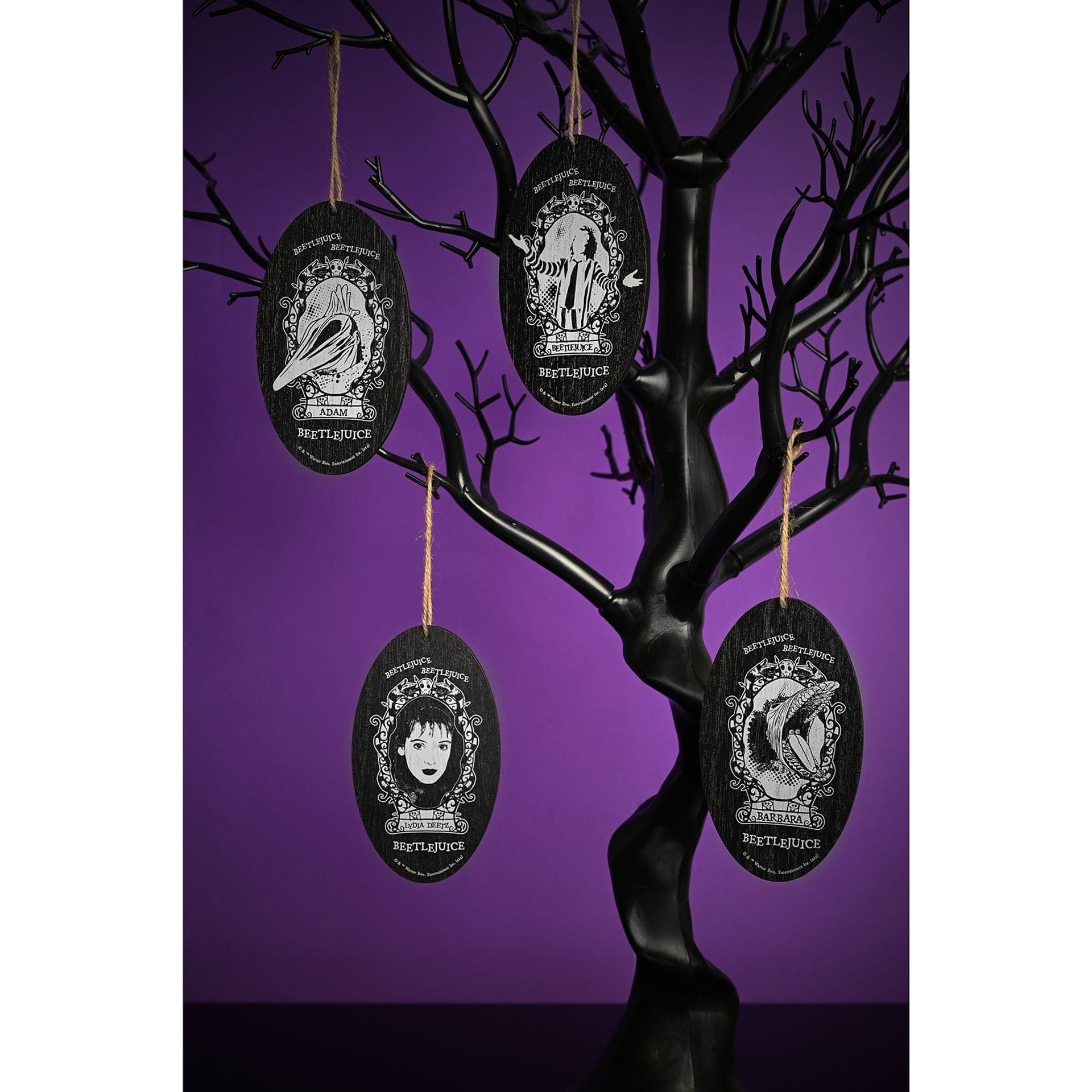 Warner Bros Beetlejuice Oval Hanging Decoration - Adam Beetlejuice